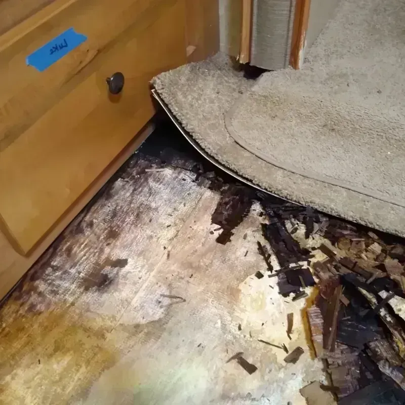 Wood Floor Water Damage in Perry County, MS